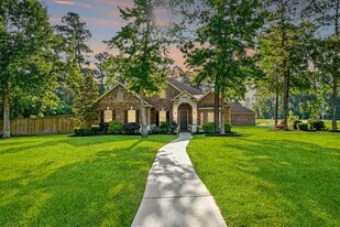 17552 Country Meadow Ln in Magnolia, TX - Building Photo