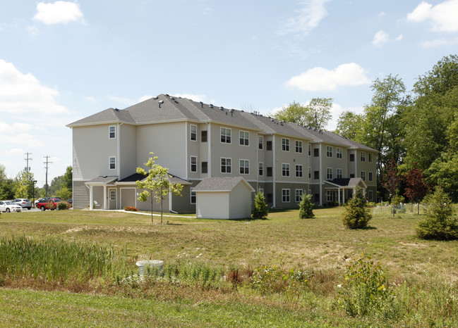 Village of Spring Meadows II in Jackson, MI - Building Photo - Building Photo