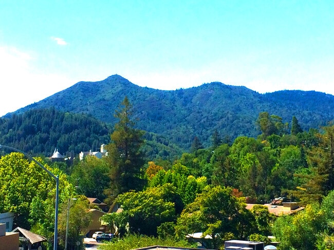 property at 770 Sir Francis Drake Blvd