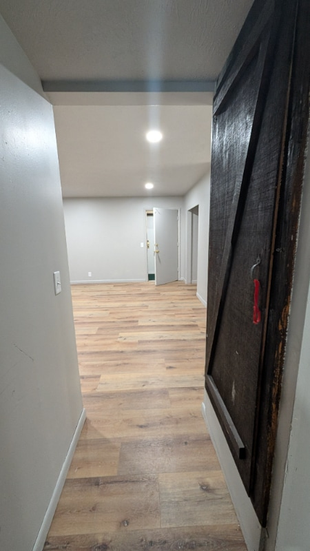 815 E Wayne Ave