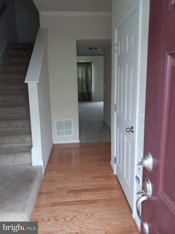 property at 249 Schramm Lp