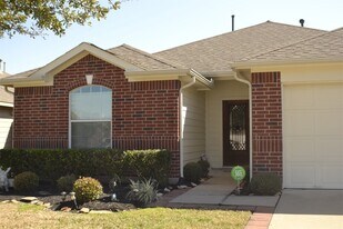 11206 Barker Park Ct in Cypress, TX - Building Photo