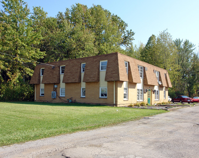 3029-3037 Frederick St in Youngstown, OH - Foto de edificio - Building Photo