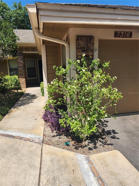 property at 7316 Della Dr