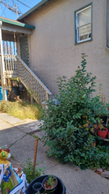 914 Sacramento St in Vallejo, CA - Building Photo - Building Photo