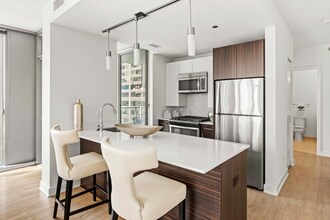 251 N Garland Ct in Chicago, IL - Foto de edificio - Building Photo