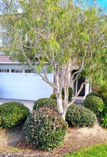 4755 Beachwood Ct in Carlsbad, CA - Building Photo - Building Photo