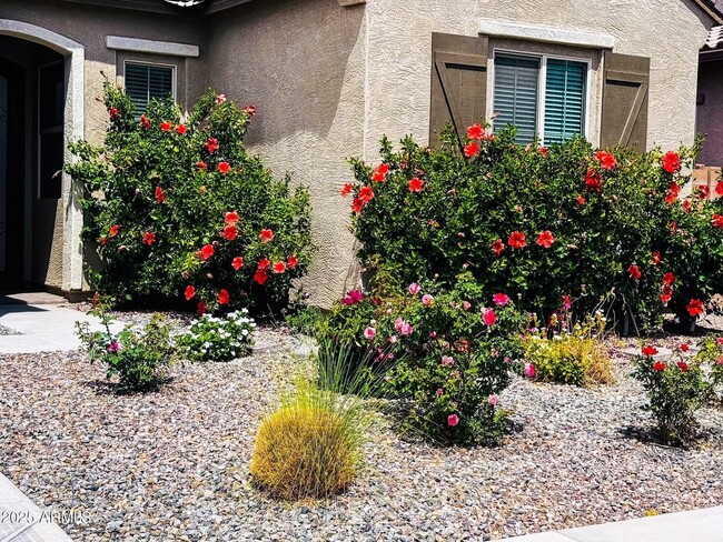 property at 2516 E King Bird Dr