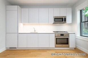 12 Elko St, Unit 01 in Boston, MA - Building Photo