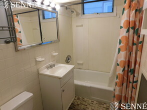 1537 Cambridge St, Unit 1 in Cambridge, MA - Building Photo - Building Photo