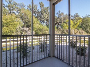 803 Lake Haven Square in Brandon, FL - Building Photo - Building Photo