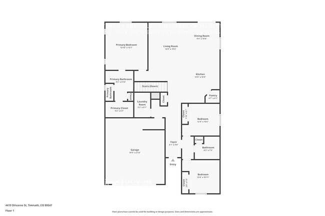 4419 Shivaree St in Timnath, CO - Foto de edificio - Building Photo