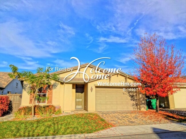 property at 481 Miesque Ct