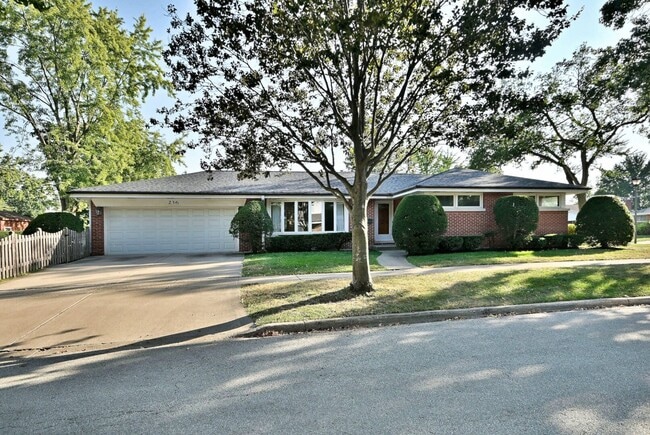 property at 236 W Adams St