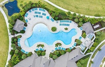17882 Adrift Rd in Winter Garden, FL - Building Photo - Building Photo