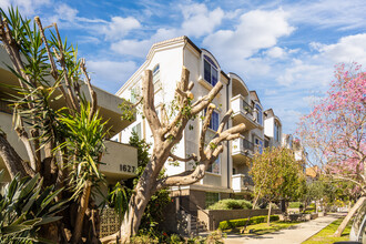 Residential Condominum in Los Angeles, CA - Building Photo - Primary Photo