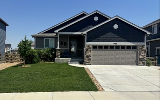 1420 Larimer Ridge Pkwy in Timnath, CO - Building Photo