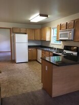 256 College Ave in Valparaiso, IN - Building Photo