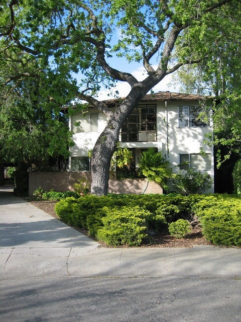 352 Waverley St in Menlo Park, CA - Building Photo