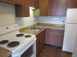 5100 N Marine Dr, Unit 23C in Chicago, IL - Building Photo - Building Photo