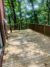 517 Lee Cove in Oxford, MS - Building Photo - Building Photo
