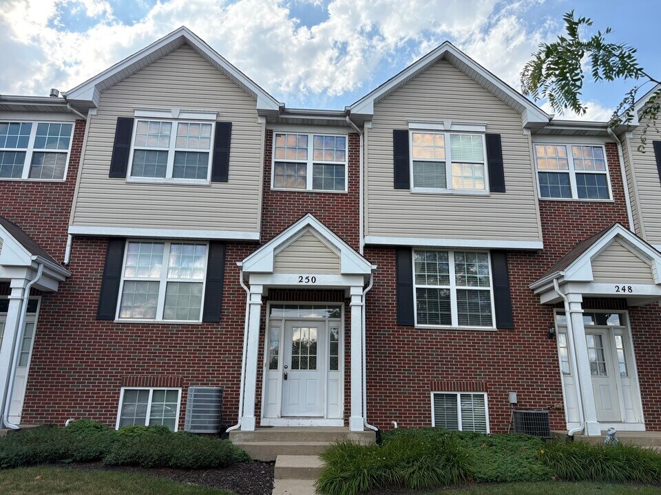 250 S Alder Creek Dr in Romeoville, IL - Building Photo