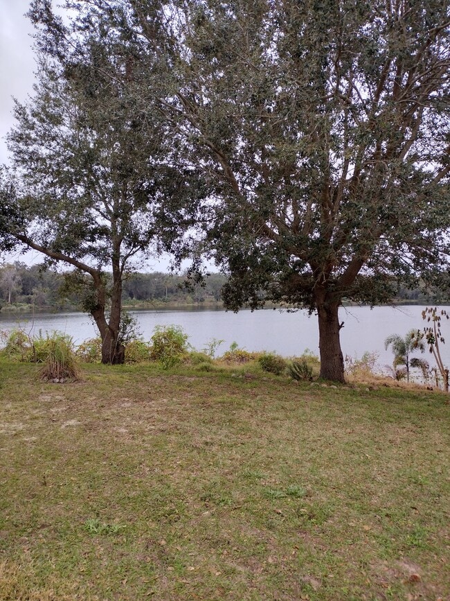 property at 334 Lake Shepard Dr