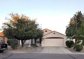 39633 N Zampino St in San Tan Valley, AZ - Building Photo