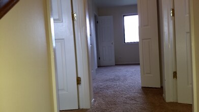 3923 Nautilus Ln in Bartlett, IL - Building Photo - Building Photo