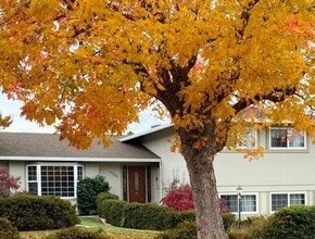 3384 Burgundy Dr in San Jose, CA - Building Photo - Building Photo