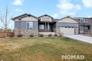 268 Orion Ct in Erie, CO - Building Photo