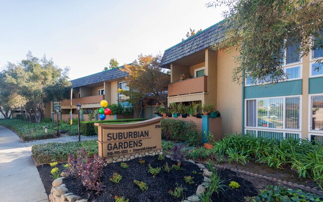 Suburbian Garden in Fremont, CA - Foto de edificio - Building Photo