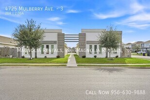 4725 Mulberry Ave in McAllen, TX - Building Photo