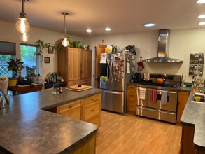 932 Teal Dr in Fort Collins, CO - Building Photo - Building Photo