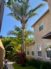 11647 Ayres Ave in Los Angeles, CA - Building Photo - Building Photo