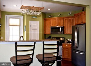 16335 Abraham Potter Run in Milton, DE - Building Photo - Building Photo