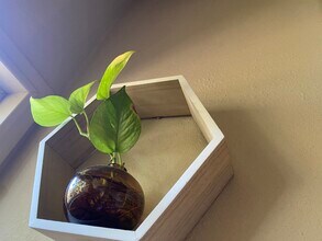 216 Emporia Blvd in San Antonio, TX - Foto de edificio - Building Photo