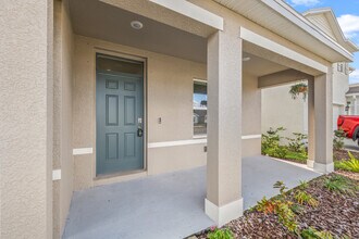 17249 Wheatberry Blvd in Parrish, FL - Building Photo - Building Photo