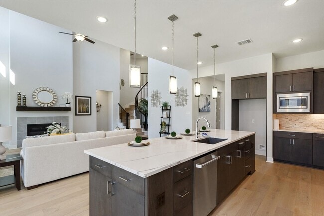 21311 Blue Wood Aster Ct