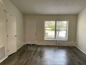 513 E Curlew Pl in Tarpon Springs, FL - Building Photo - Building Photo