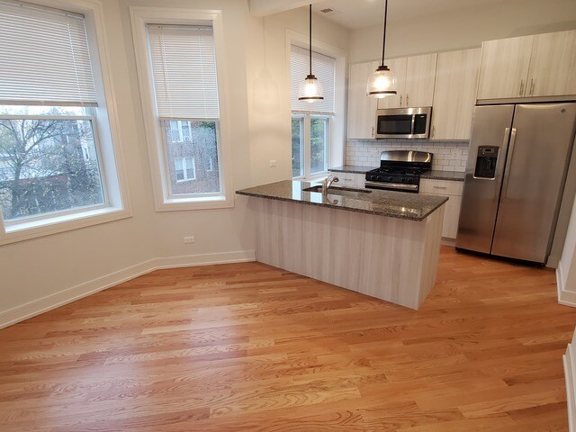 843 N Leavitt St in Chicago, IL - Building Photo - Building Photo