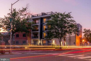 1101 Fern St NW, Unit 202 in Washington, DC - Building Photo
