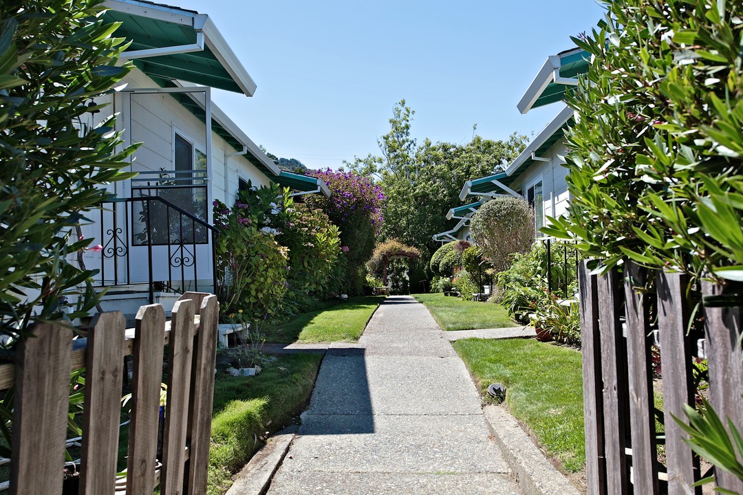 135 Redwood Ave in Corte Madera, CA - Foto de edificio