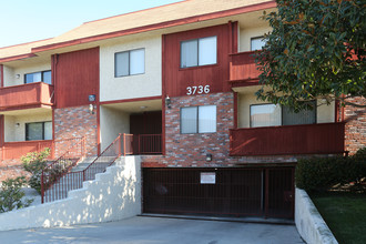 3736 Jasmine Ave in Los Angeles, CA - Building Photo - Building Photo