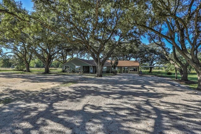 property at 14114 TX-36