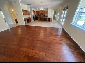 10531 Mistflower Ln in Tampa, FL - Building Photo - Building Photo