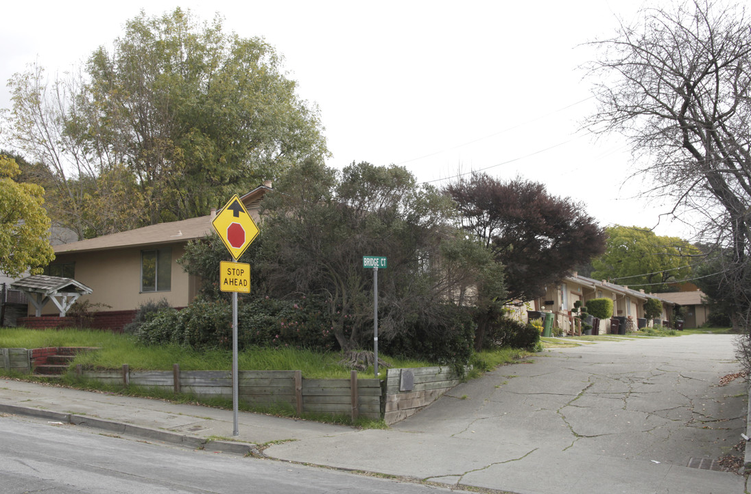 21502-21542 Bridge Ct in Castro Valley, CA - Building Photo