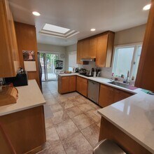 547 Santa Clara Ave in Berkeley, CA - Building Photo - Building Photo