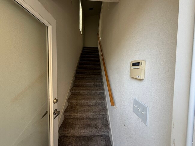 14531 Cotswolds Dr, Unit Apartment in Tampa, FL - Building Photo - Building Photo