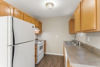 2806 Wendi Ann Dr in Knoxville, TN - Building Photo - Building Photo